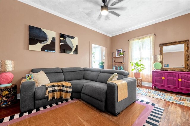 living room featuring wood finished floors, ceiling fan, and crown molding