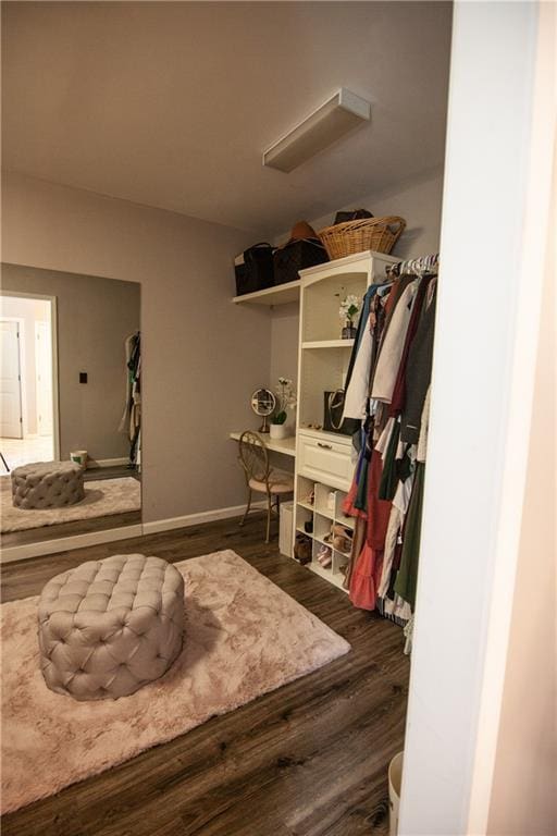 walk in closet featuring wood finished floors