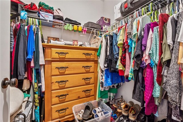 101 Marion Dr, Cartersville, GA 30120 - view of spacious closet