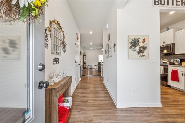 101 Marion Dr, Cartersville, GA 30120 - hallway featuring recessed lighting and light wood-type flooring