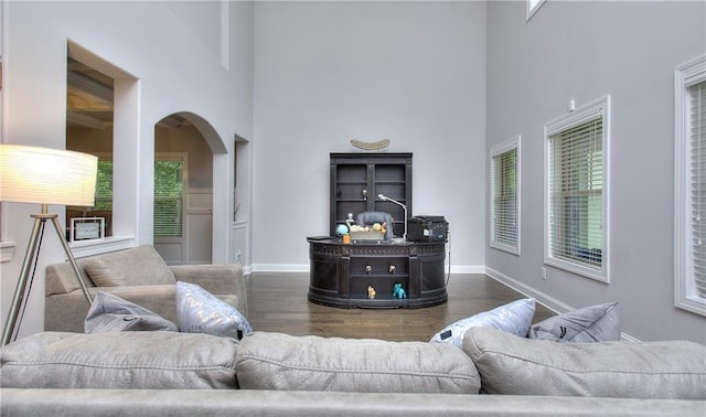 116 Chorley Run, Ellenwood, GA 30294 - living room with a high ceiling, wood finished floors, and arched walkways