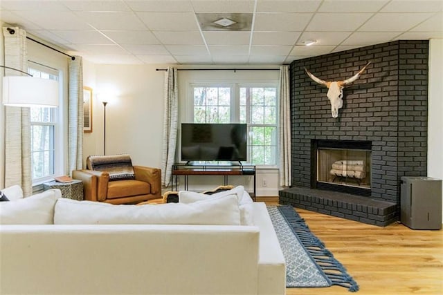 living area featuring a brick fireplace, a paneled ceiling, and wood finished floors