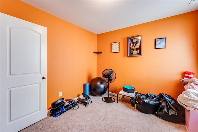 1574 Leonard St, Hampton, GA 30228 - workout room featuring carpet