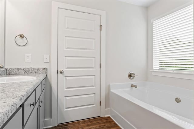 bathroom featuring vanity, a bath, and wood finished floors