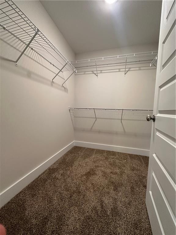 walk in closet with carpet