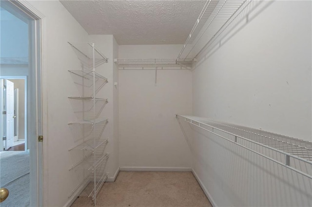 1615 Burnt Oak Way, Dacula, GA 30019 - walk in closet with light colored carpet