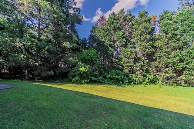1615 Burnt Oak Way, Dacula, GA 30019 - view of grassy yard
