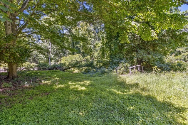 128 Mountain View Dr, Gainesville, GA 30501 - view of yard