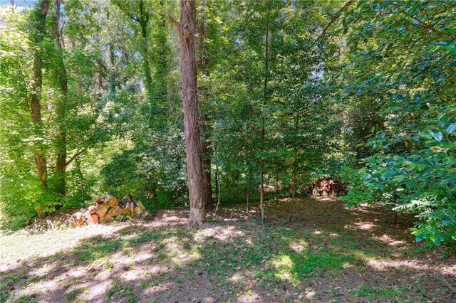 1192 Eastridge Rd SW, Atlanta, GA 30311 - view of nature