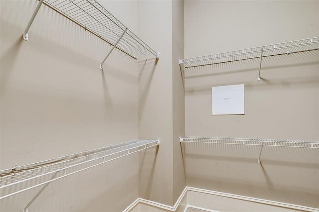 view of spacious closet