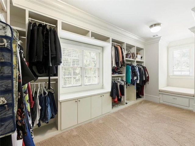 spacious closet with light carpet