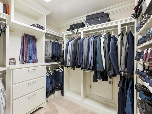 spacious closet with light colored carpet