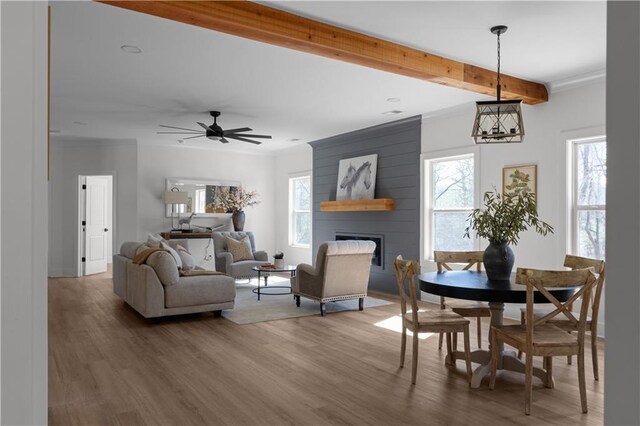 dining room featuring beamed ceiling, wood finished floors, and a wealth of natural light