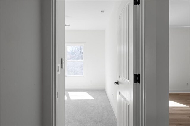 corridor featuring carpet