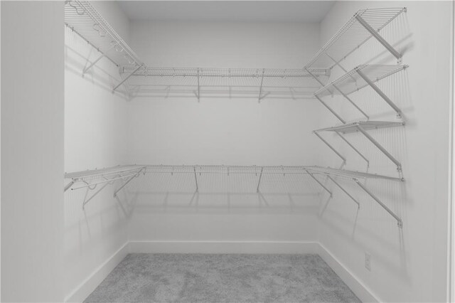 walk in closet featuring light colored carpet