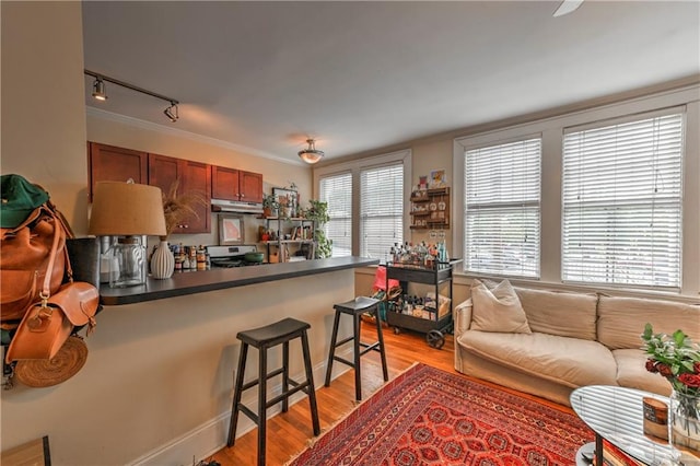 kitchen featuring white range oven, light hardwood / wood-style floors, a breakfast bar, crown molding, and track lighting