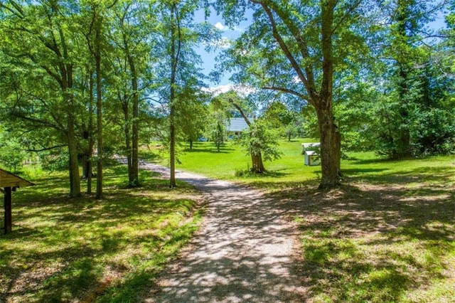 view of community with dirt driveway and a lawn