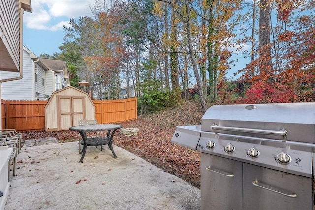 view of yard featuring a patio and a storage shed