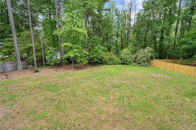 3131 Garden Lane Dr, Marietta, GA 30062 - view of yard