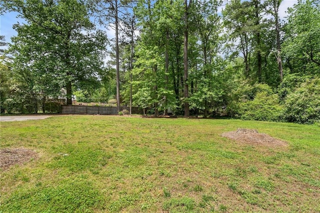 3131 Garden Lane Dr, Marietta, GA 30062 - view of yard
