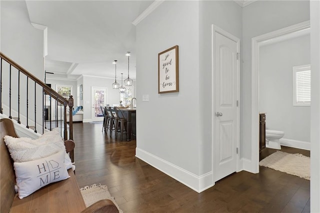 corridor featuring a chandelier, dark hardwood / wood-style flooring, ornamental molding, and sink