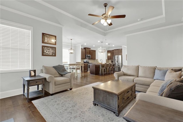 living room featuring a raised ceiling, crown molding, dark wood-type flooring, and ceiling fan with notable chandelier