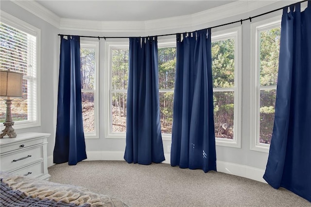 unfurnished bedroom with crown molding and light colored carpet