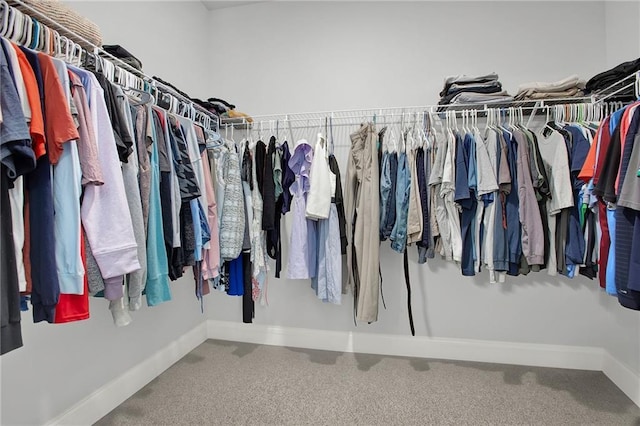 view of spacious closet