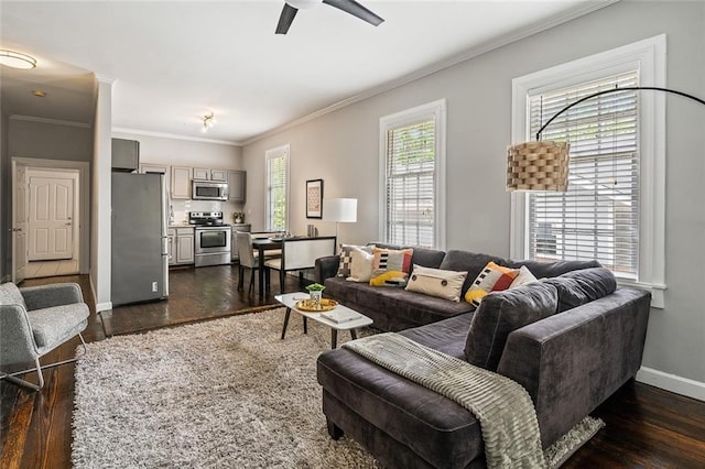 living room with crown molding, dark wood-type flooring, and ceiling fan