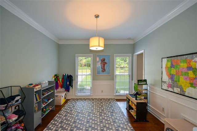 recreation room with crown molding, dark wood-type flooring, wainscoting, and a decorative wall