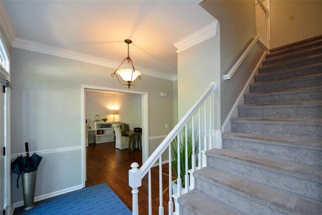 stairway with ornamental molding and wood finished floors