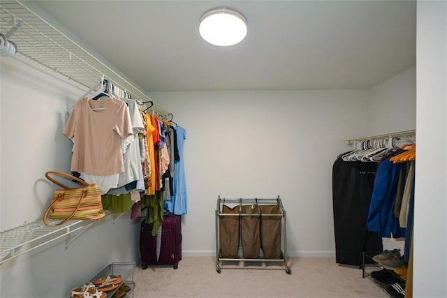 walk in closet with carpet