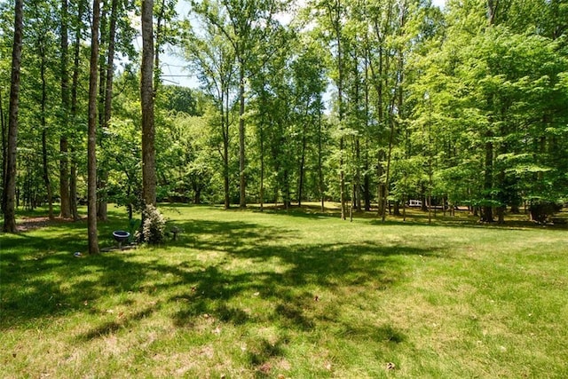 view of green lawn
