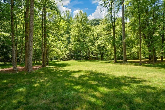 view of green lawn featuring a forest view