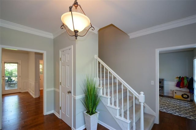 staircase featuring wood finished floors and crown molding