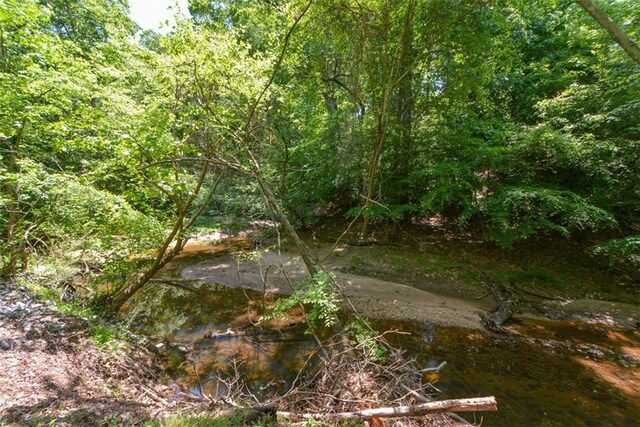 view of local wilderness