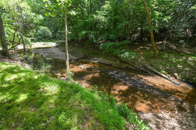 view of tree filled area