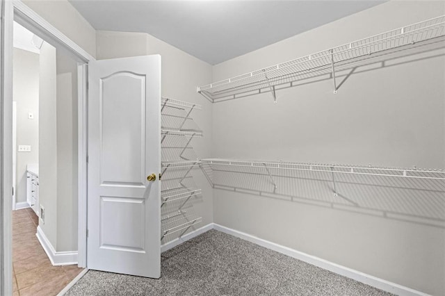 walk in closet featuring carpet floors