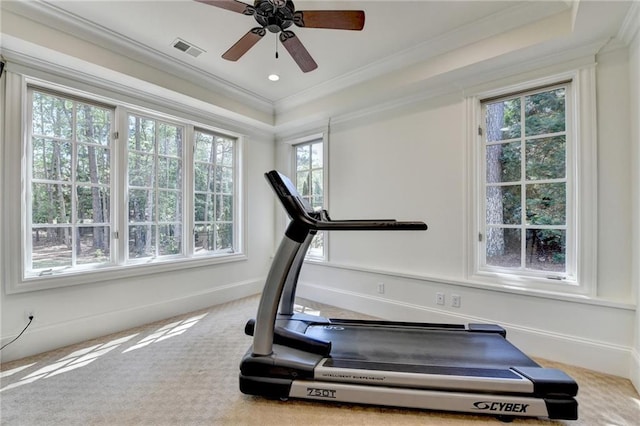 4505 Whitestone Way, Suwanee, GA 30024 - exercise area featuring crown molding, carpet, a ceiling fan, visible vents, and a raised ceiling