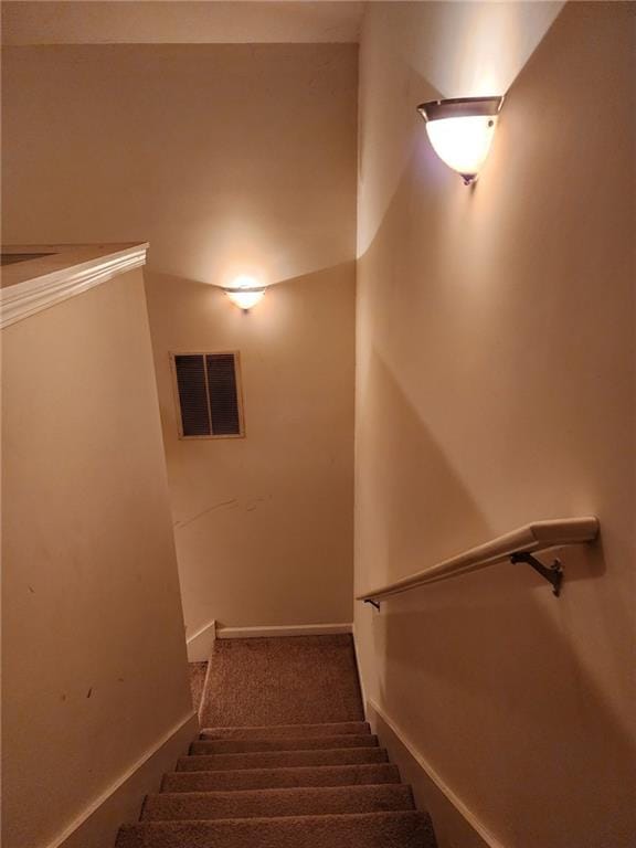 staircase with carpet flooring