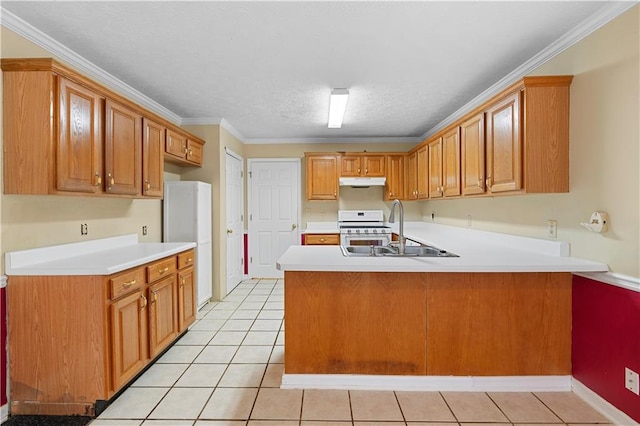 2881 Bridle Creek Dr SW, Conyers, GA 30094 - kitchen with white appliances, a sink, a peninsula, under cabinet range hood, and light countertops