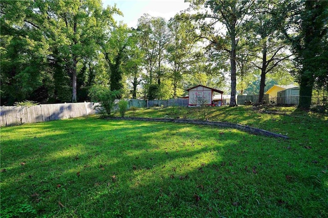 view of yard with a shed