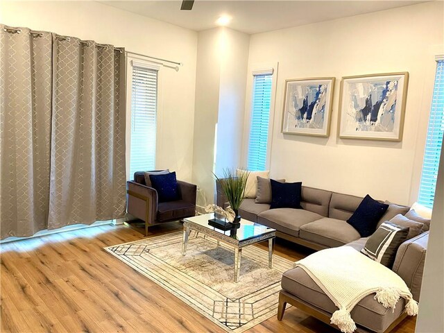 living room featuring light hardwood / wood-style flooring