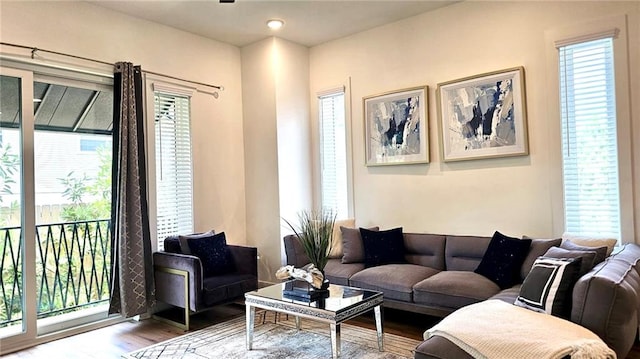 living room with plenty of natural light and hardwood / wood-style floors