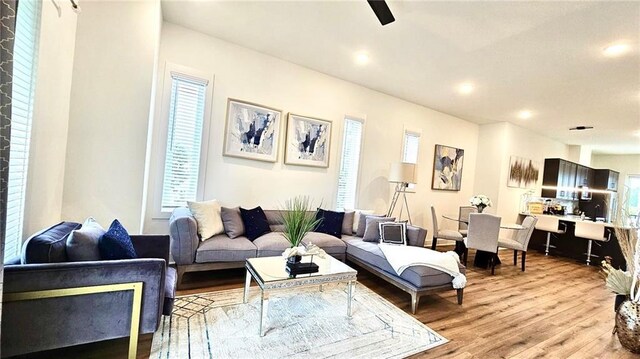 living room with light wood-type flooring