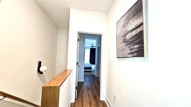 hallway featuring dark hardwood / wood-style floors