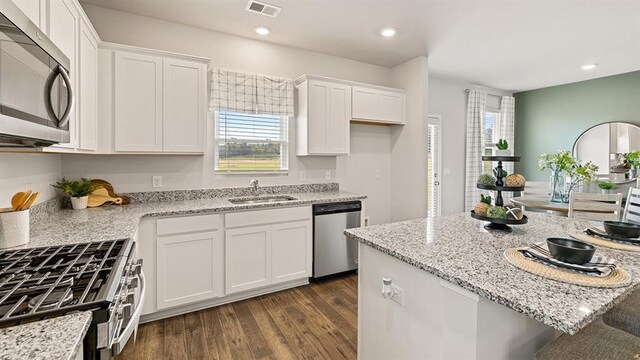 12086 Conrad Cir, Hampton, GA 30228 - kitchen with stainless steel appliances, a sink, white cabinets, dark wood-style floors, and light stone counters
