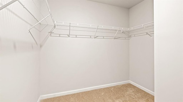 12086 Conrad Cir, Hampton, GA 30228 - walk in closet featuring carpet