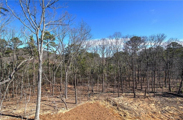 view of local wilderness with a view of trees