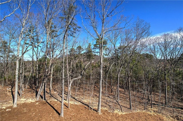 view of local wilderness featuring a forest view